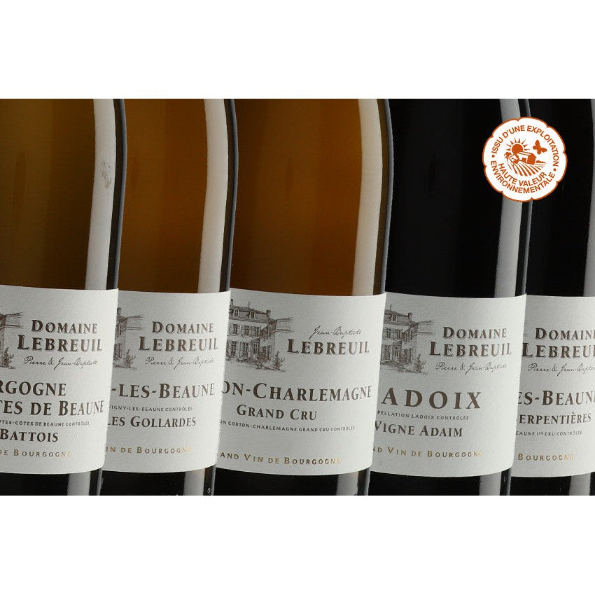 2020 Savigny-lès-Beaune 1er Cru 'Aux Gravains' Rouge, Domaine Lebreuil